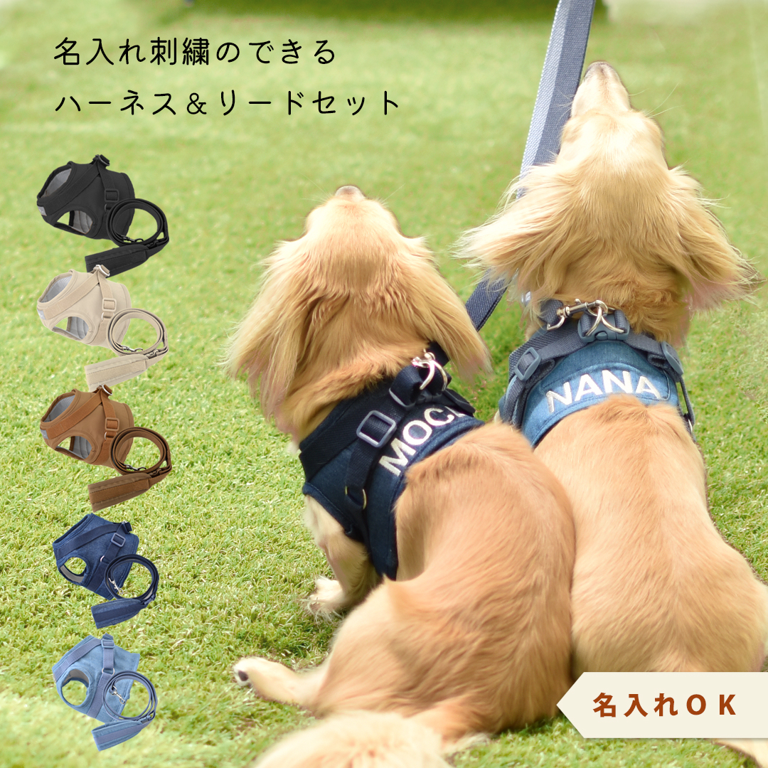 小型犬用 ハーネス＆リードセット 予約商品発送日7月31日)ハーネス リードセット 名入れ 刺繍 反射 小型