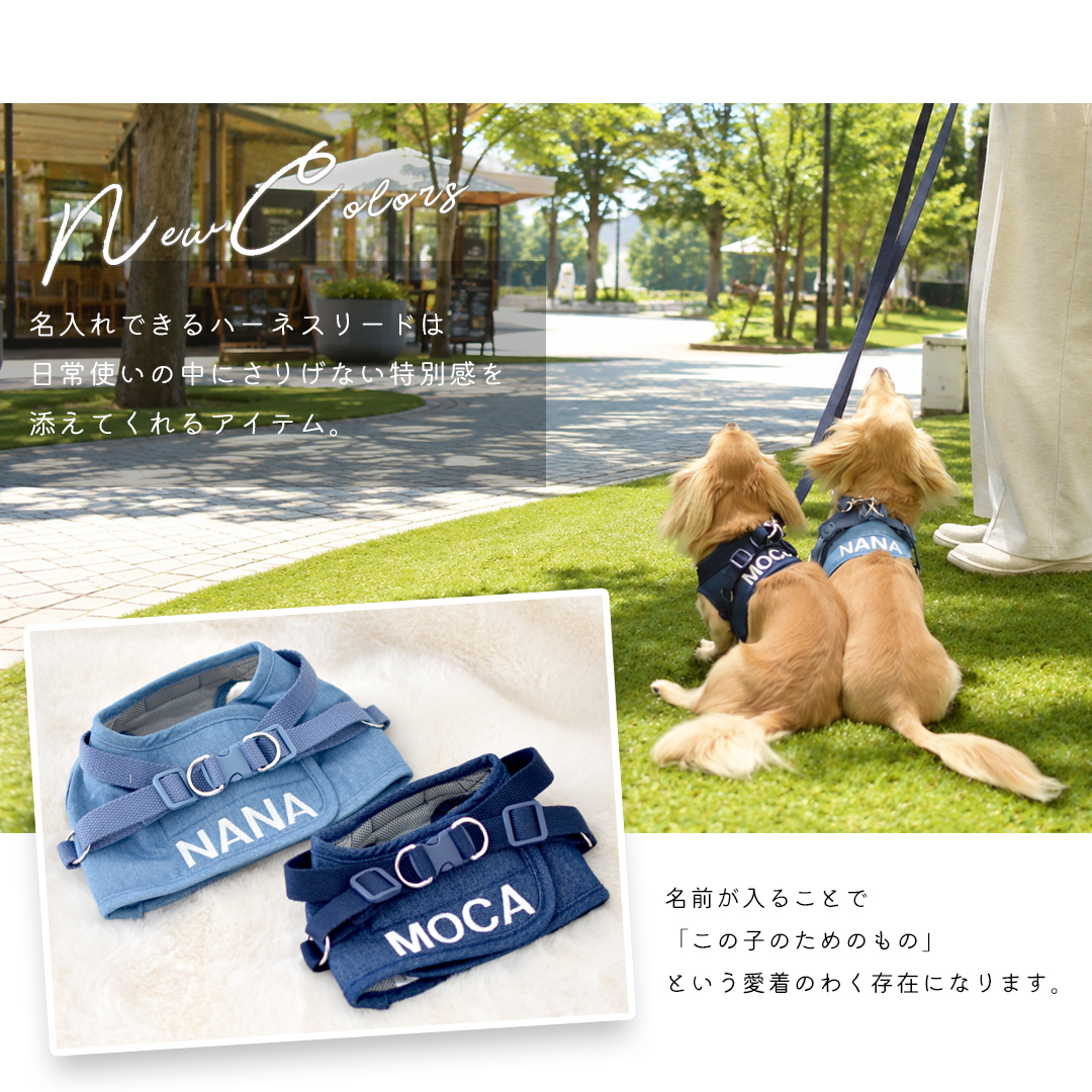 ドッグフード＋小型犬服2枚＋ハーネス＋リード＋ジャンパーセット 予約商品発送日7月31日)ハーネス リードセット 名入れ 刺繍 反射 小型