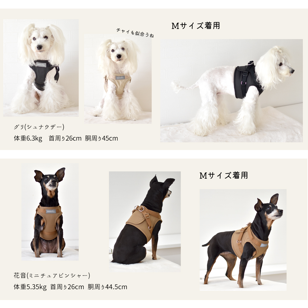 ハーネス リードセット 名入れ 刺繍 反射 小型犬 犬用 犬具 迷子防止