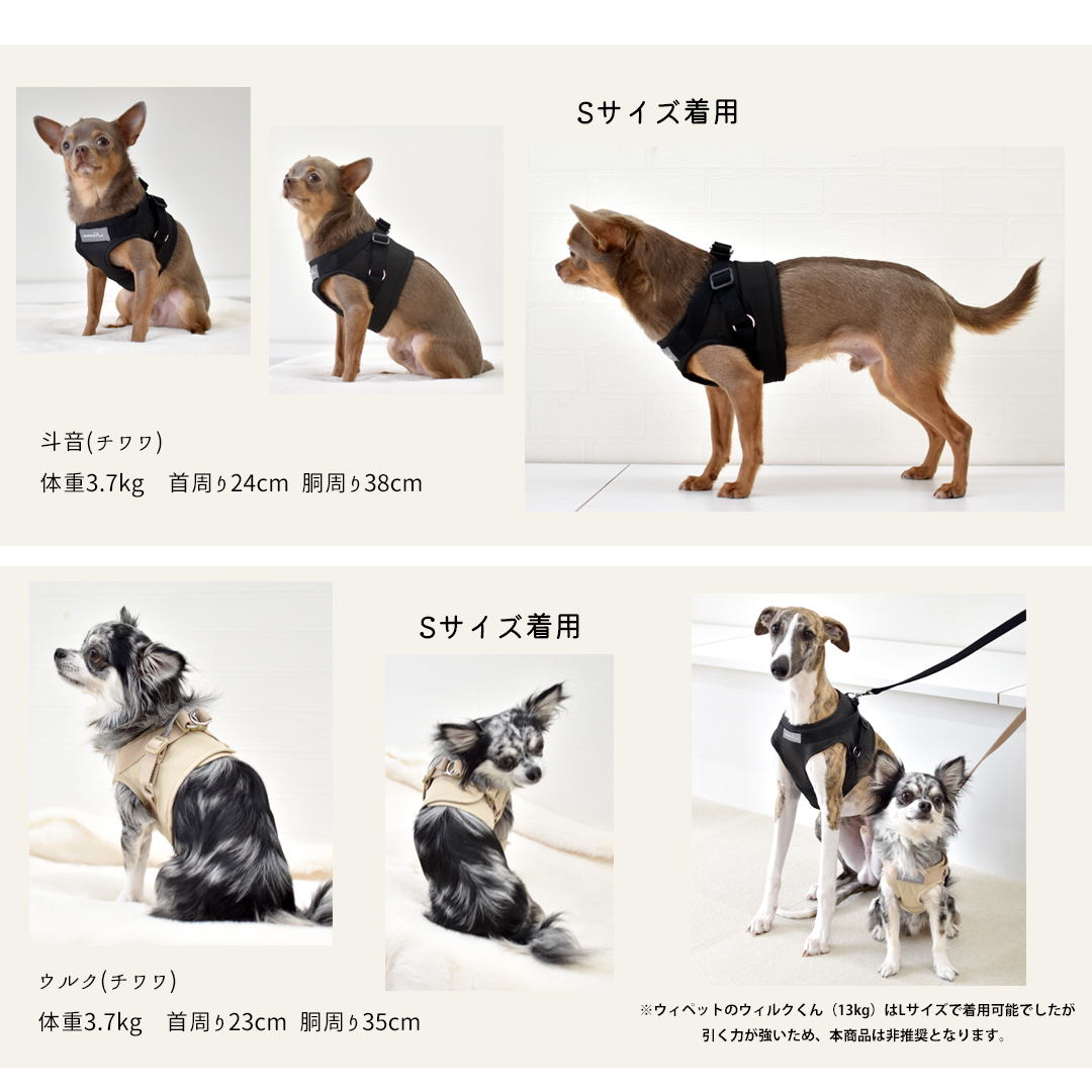 ハーネス リードセット 名入れ 刺繍 反射 小型犬 犬用 犬具 迷子防止