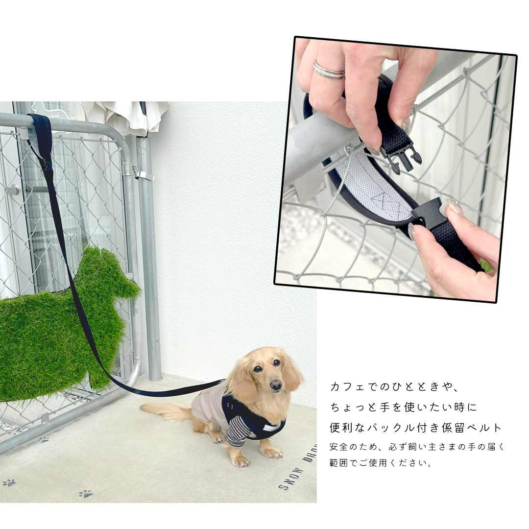 ハーネス リードセット 名入れ 刺繍 反射 小型犬 犬用 犬具 迷子防止