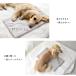 犬 ひんやり 保冷まくら 保冷剤 枕 2WAY クールマット 夏 暑さ対策 小型犬 中型犬 猫 ペット おしゃれ snowdrop 関連画像2