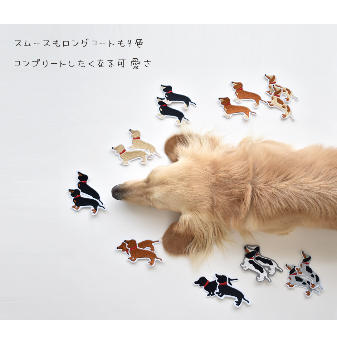 ◆Aelfric Eden◆刺繍ダックスフントTシャツ 送料関税込み ステッカー ワッペン 刺繍 ダックスフンド dog ペットロス