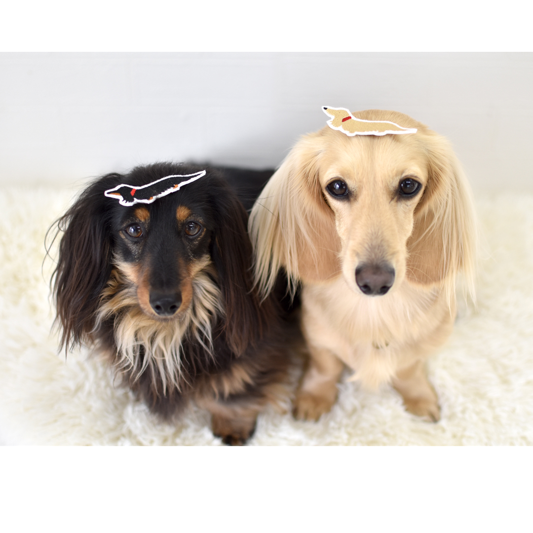 ◆Aelfric Eden◆刺繍ダックスフントTシャツ 送料関税込み ステッカー ワッペン 刺繍 ダックスフンド dog ペットロス