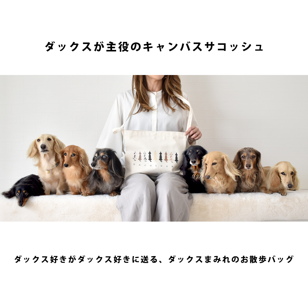 サコッシュダックス　ショルダー オリジナル 愛犬 名入れ刺繍 ペットグッズ 犬用品 お散歩  帆布 軽量 肩掛け ゆうパケット対応 | ブランド登録なし | 01