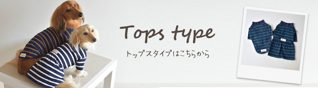 在庫処分SALEの為返品交換不可)ダックスサイズ ボーダー オリジナル