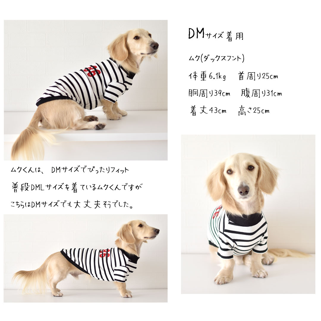 DOG柄ワンポイントTシャツ&ロングパンツ　ダックス 楽天市場】ボーダー ダックスサイズ オリジナルロゴTシャツ 名