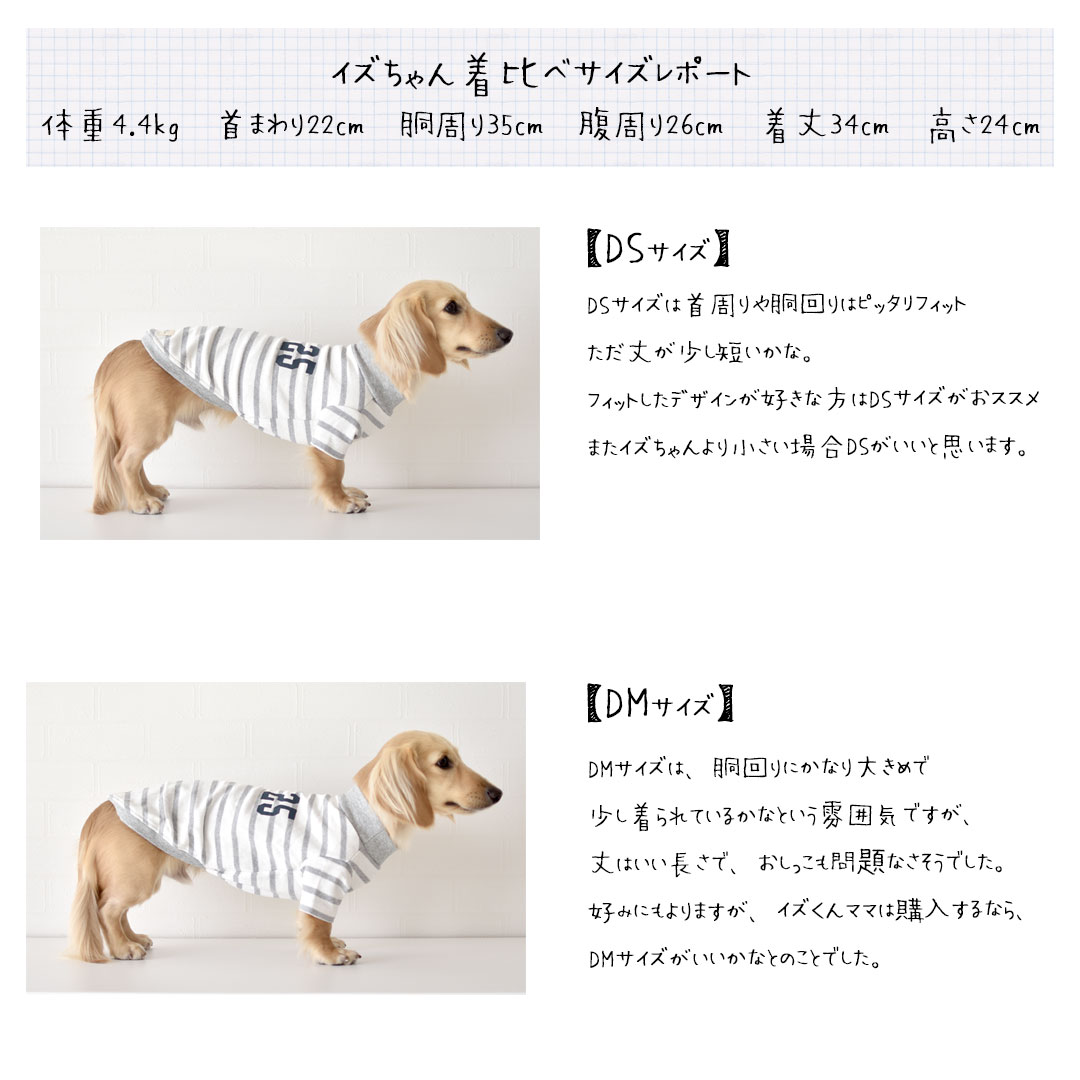 DOG柄ワンポイントTシャツ&ロングパンツ　ダックス 楽天市場】ボーダー ダックスサイズ オリジナルロゴTシャツ 名