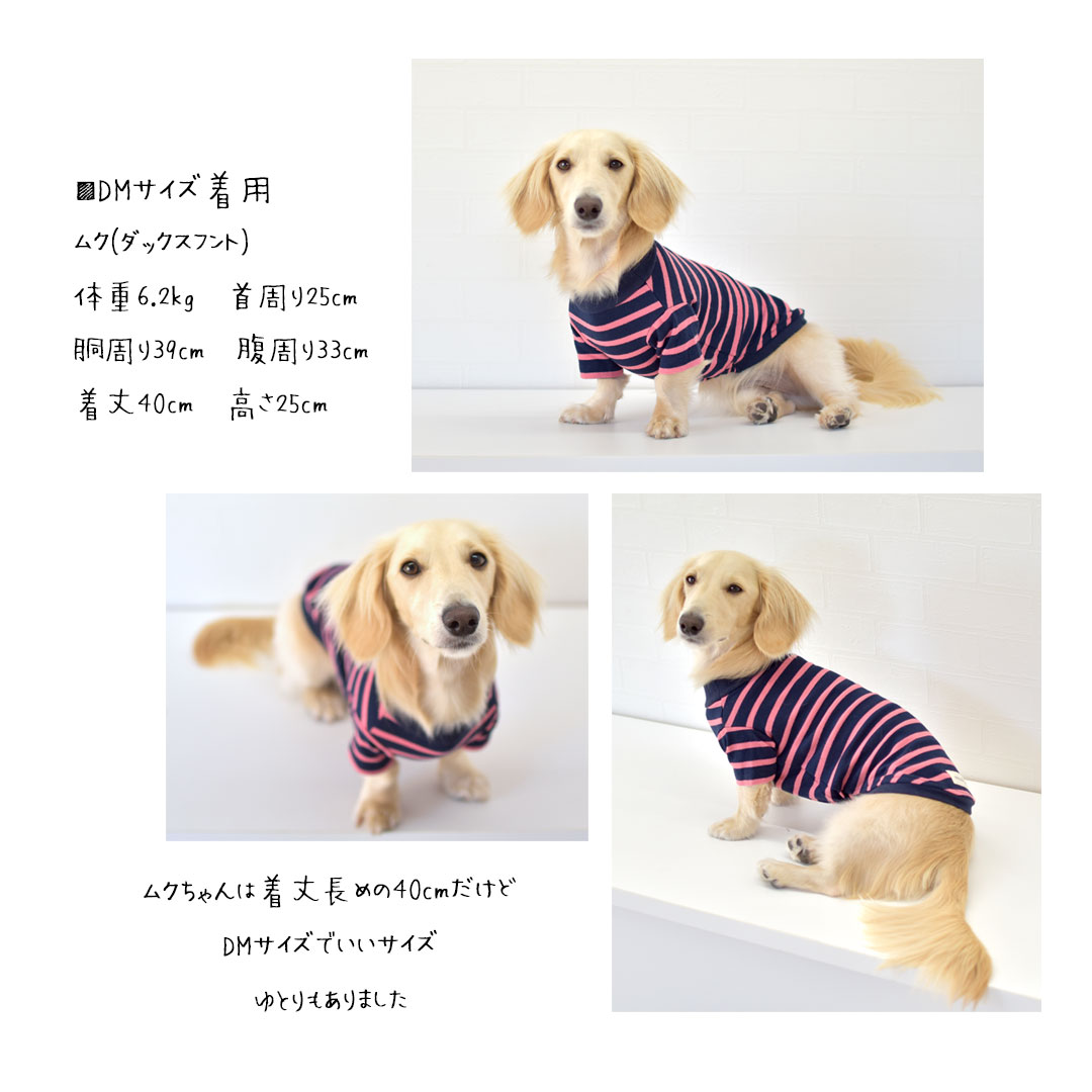 DOG TOWN / DTxST L/S Tee