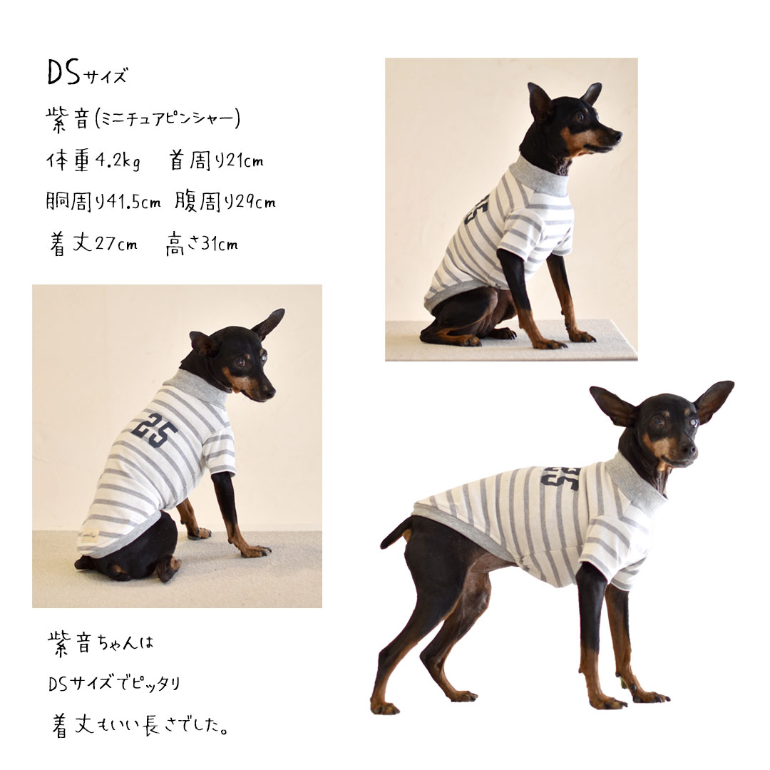 ロゴ ボーダー オリジナルロゴTシャツ ロングスリーブ 名入れ　刺繍 ストライプカット 長袖 犬 服 犬服 snowdrop ゆうパケット対応｜snowdrop｜03