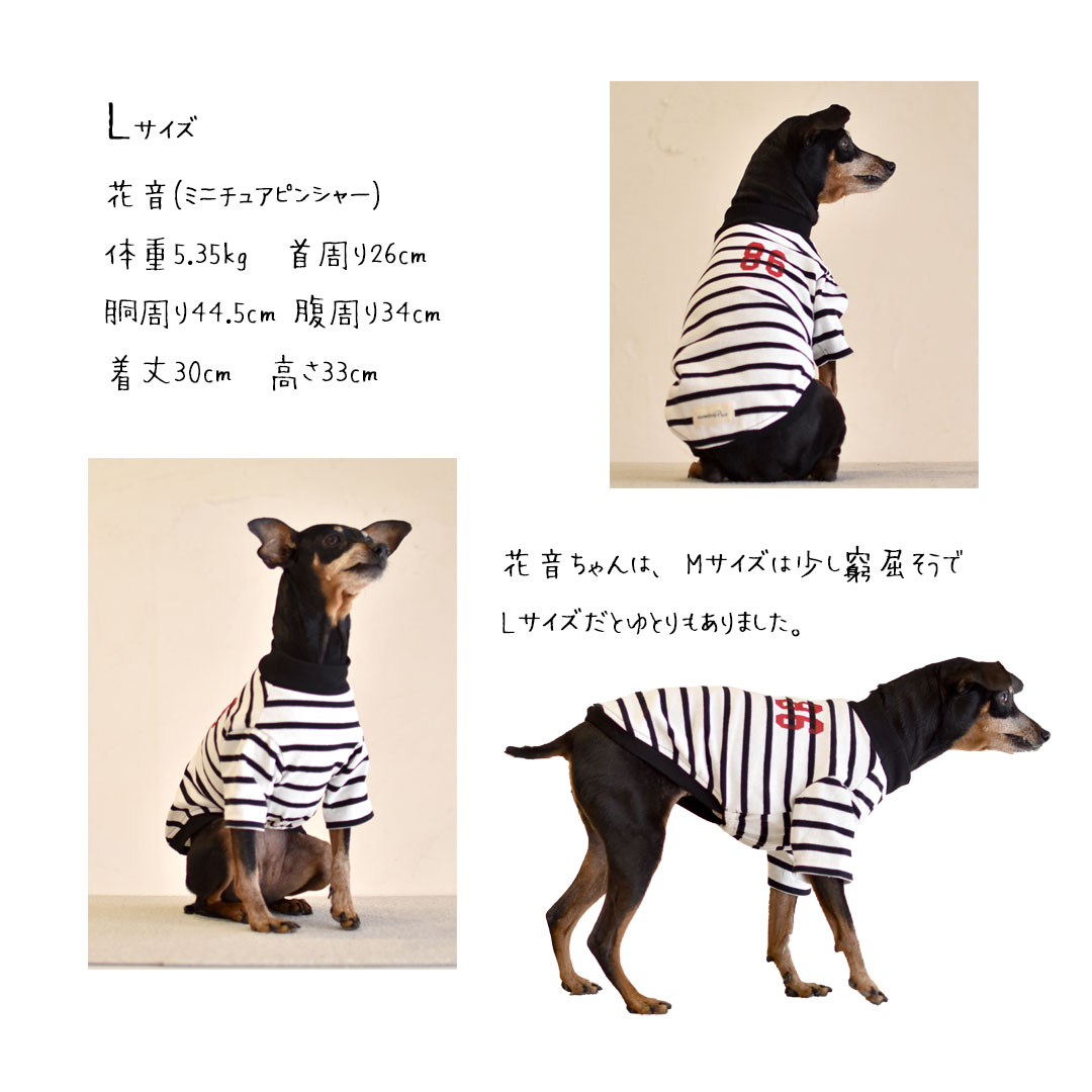 ロゴ ボーダー オリジナルロゴTシャツ ロングスリーブ 名入れ　刺繍 ストライプカット 長袖 犬 服 犬服 snowdrop ゆうパケット対応｜snowdrop｜04