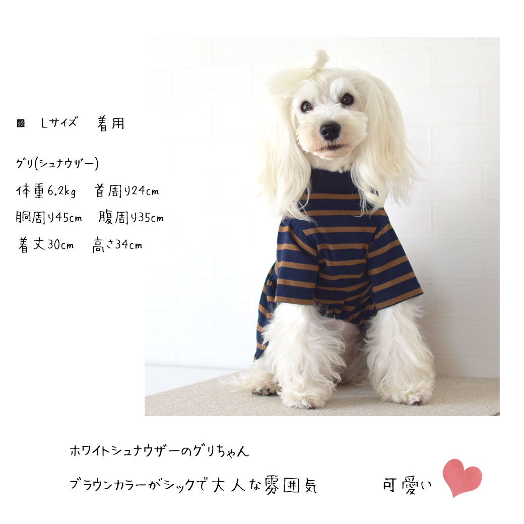 在庫処分SALEの為返品交換不可)ワンピース ボーダー snowdrop