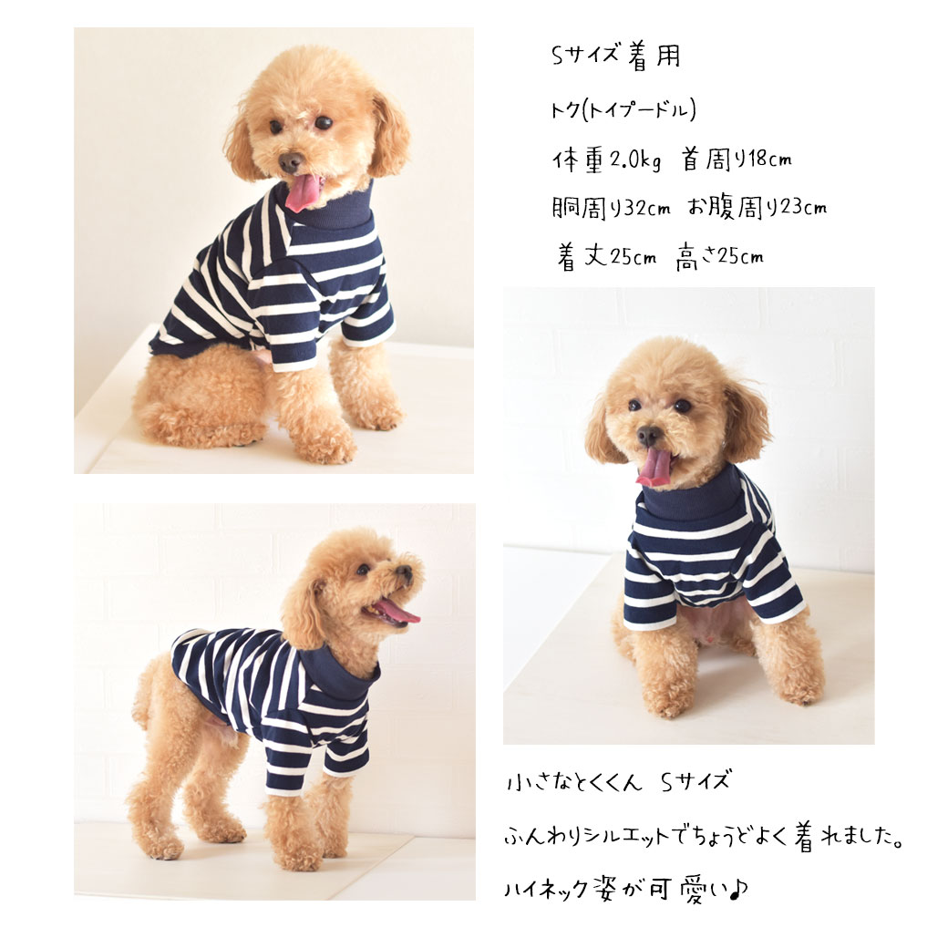 ボーダー袖の犬の服 楽天市場】【 犬 服 ボーダー Tシャツ 】ラグランボーダーT 鎌倉