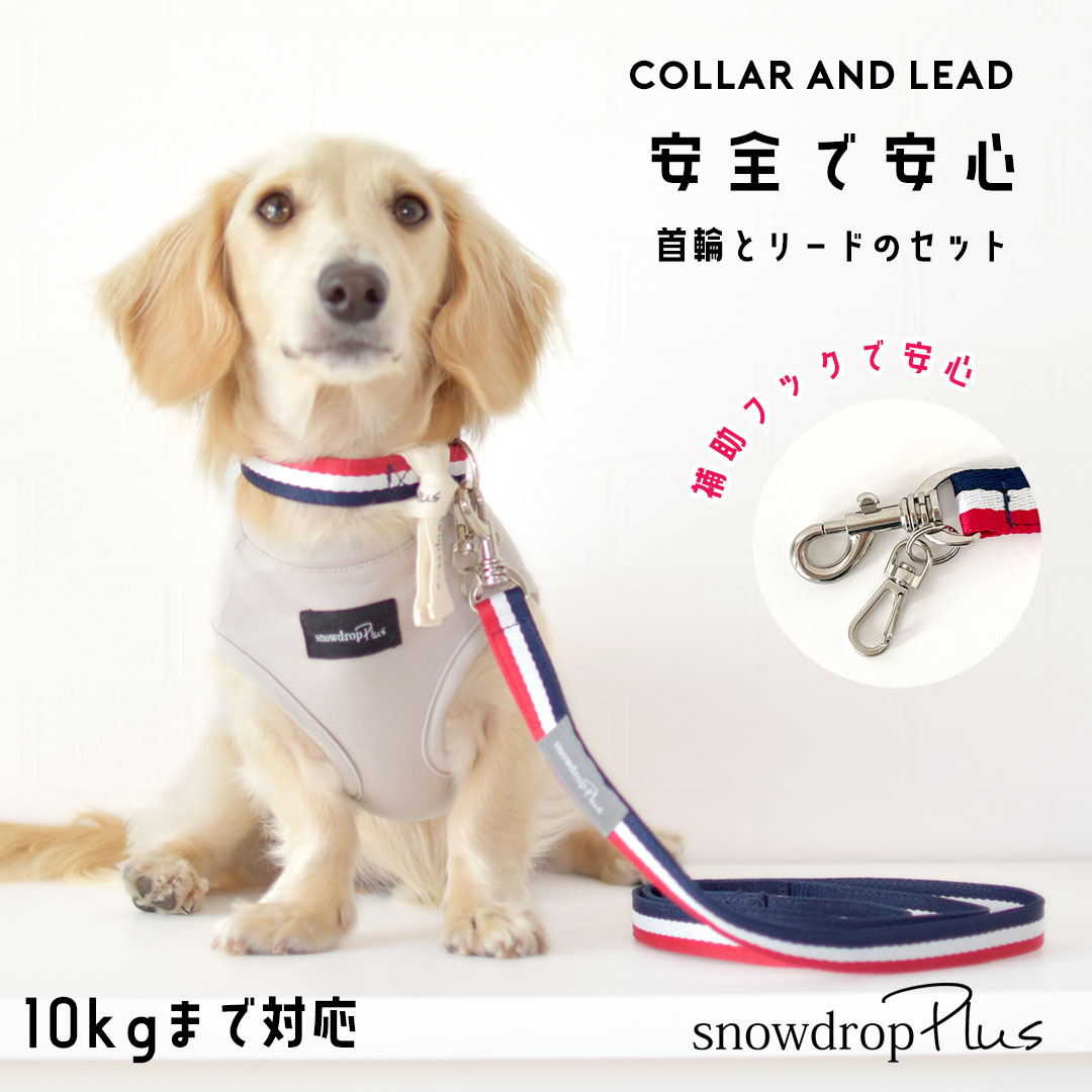 リボン 首輪 リードセット snowdrop 小型犬 犬 リード 首輪 簡単 散歩 おしゃれ かわいい ODEKAKE ゆうパケット対応