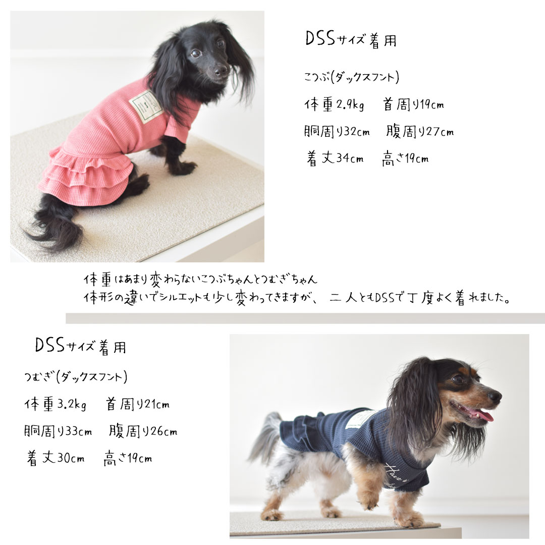 ダックスサイズ ワンピース フリル ワッフル 名入れ 刺繍 カノコ フレンチ袖 snowdrop ストレッチ ドッグ 犬 服 ロゴ 服 ゆうパケット対応