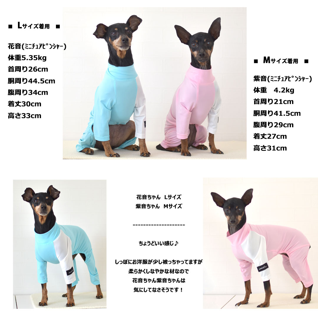 (在庫処分SALEの為返品交換不可)水着 ラッシュガード つなぎ アクティブロンパース カバーオールsnowdrop 伸縮性 ドッグ 犬服 ODEKAKE ゆうパケット対応 | ブランド登録なし | 07
