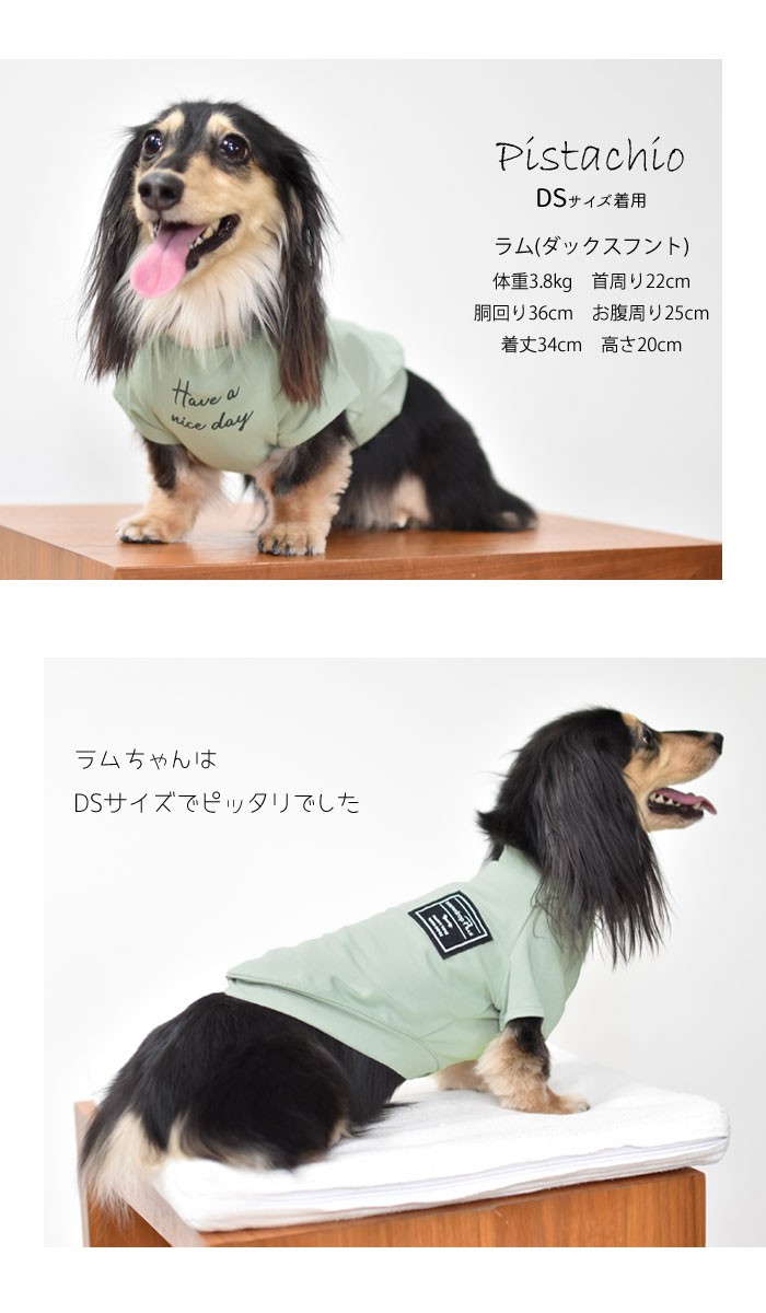 ダックスサイズ フレンチ袖Ｔシャツ 名入れ 刺繍 犬 服 ロゴ服 ＤＯＧ