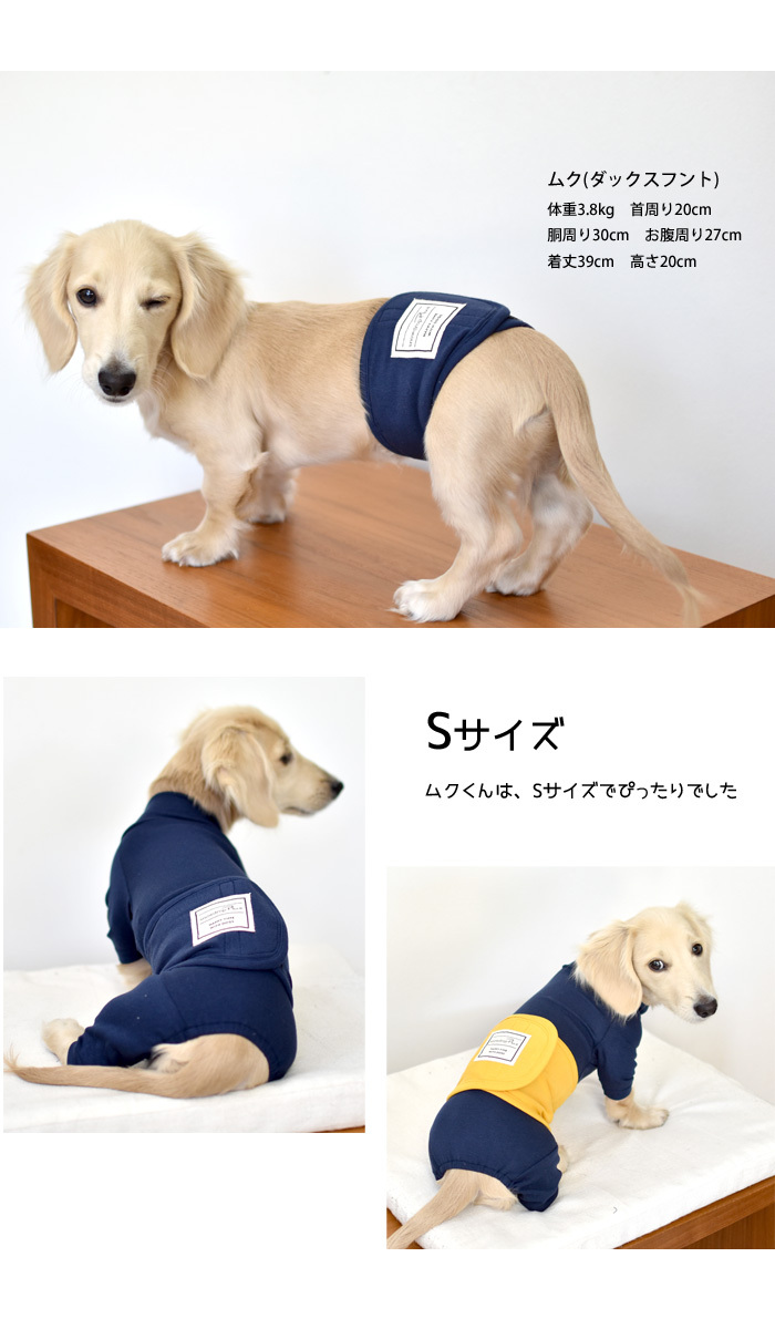 犬マナーベルト 男の子 失禁 おしっこ オス用 犬マナーバンド 3点セット