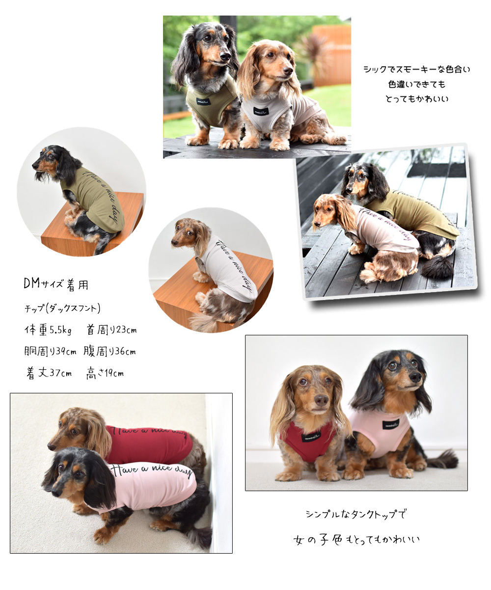 リニューアルサイズかけの為在庫処分セール】ダックスサイズ HAVE A