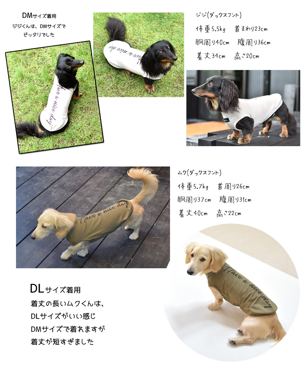 【リニューアルサイズかけの為在庫処分セール】ダックスサイズ HAVE A NICE DAY タンクトップ ロゴタンクトップ 犬服 ペット服  ゆうパケット対応