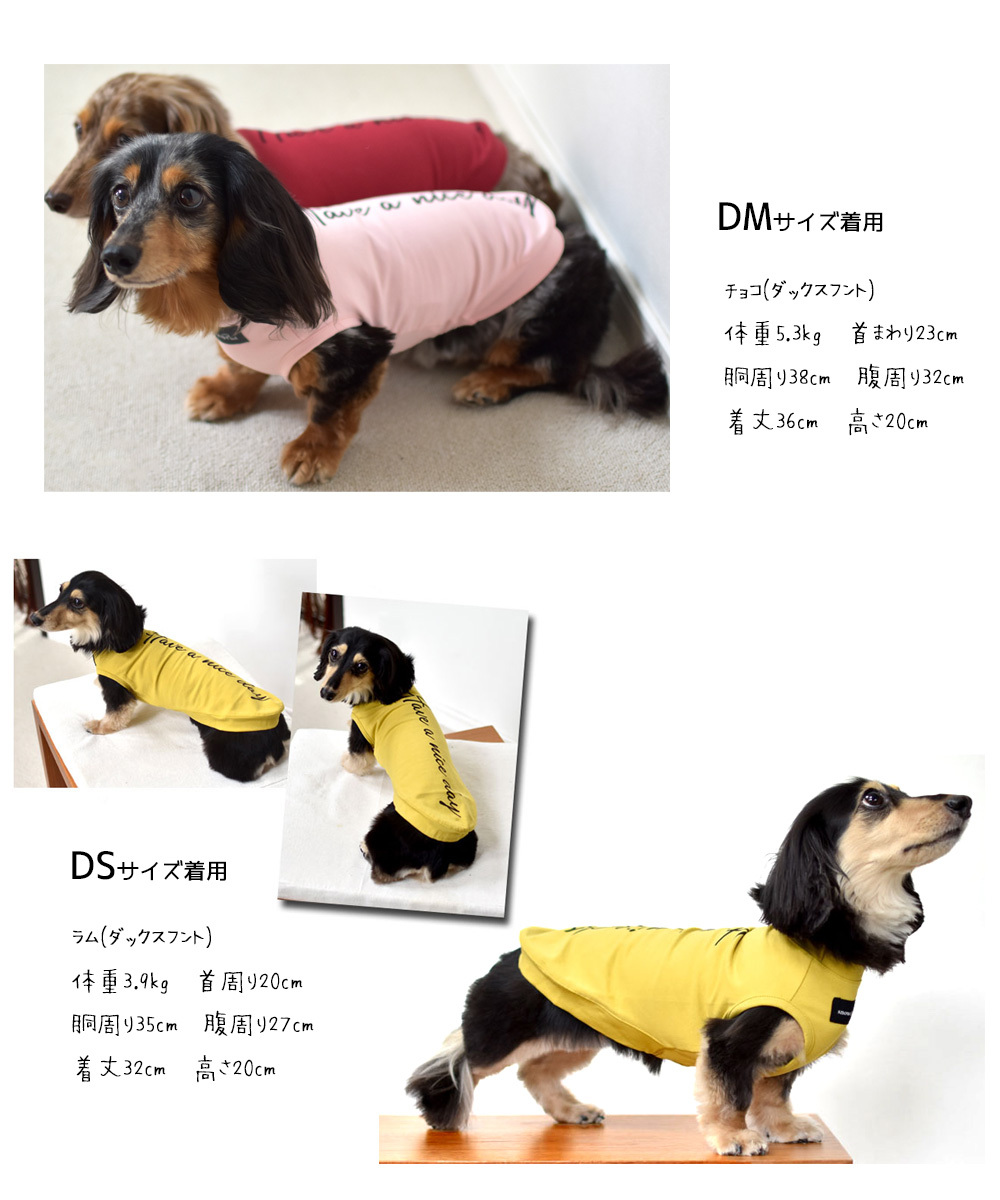 【リニューアルサイズかけの為在庫処分セール】ダックスサイズ HAVE A NICE DAY タンクトップ ロゴタンクトップ 犬服 ペット服  ゆうパケット対応