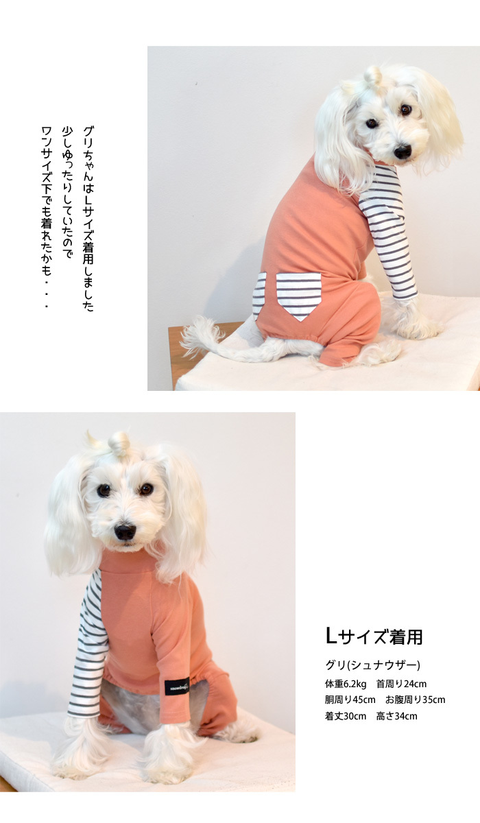 人気カラーの ✨最終値下げ✨ 犬用 大型犬 ペット おもちゃ 玩具