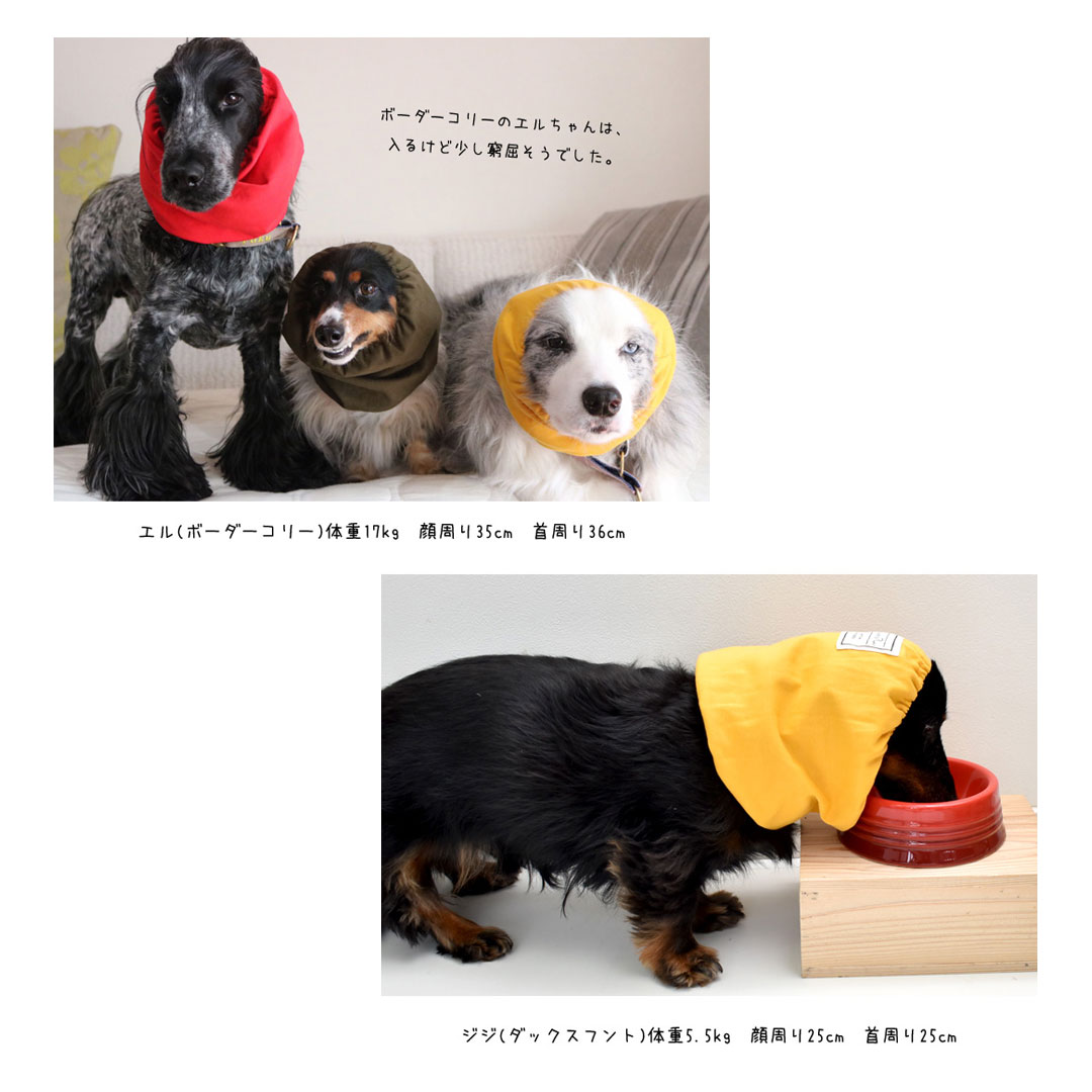 耳汚れ防止 ゴム紐調節可能 名入れ プリント ペットスヌード 食事スヌード 散歩 犬の服 snowdrop ゆうパケット対応 関連画像3