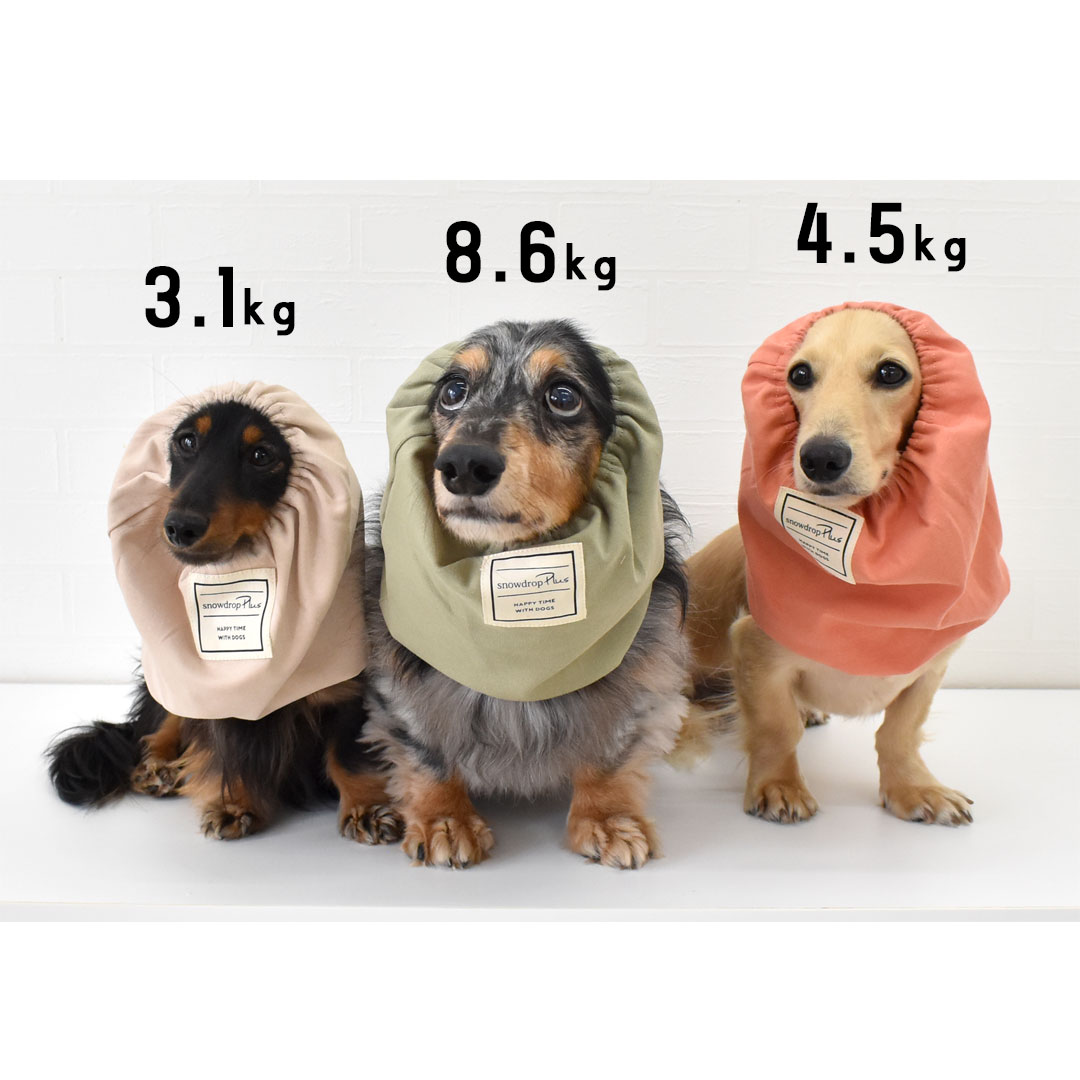 耳汚れ防止 ゴム紐調節可能 名入れ プリント ペットスヌード 食事スヌード 散歩 犬の服 snowdrop ゆうパケット対応 関連画像5
