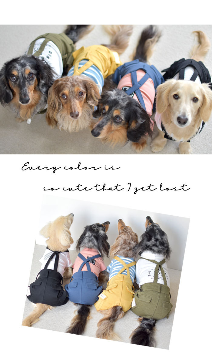 JEEPラッシュガードロンパース 犬服 ペットウェア ペット用品