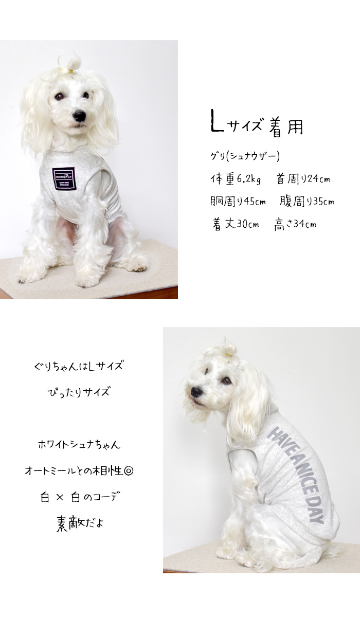 (在庫処分SALEの為返品交換不可)縦ロゴ HAVE A NICE タンクトップ 犬 服 ペット ロゴタンクトップ ストレッチ ノースリーブ 袖なし ゆうパケット対応 | ブランド登録なし | 03