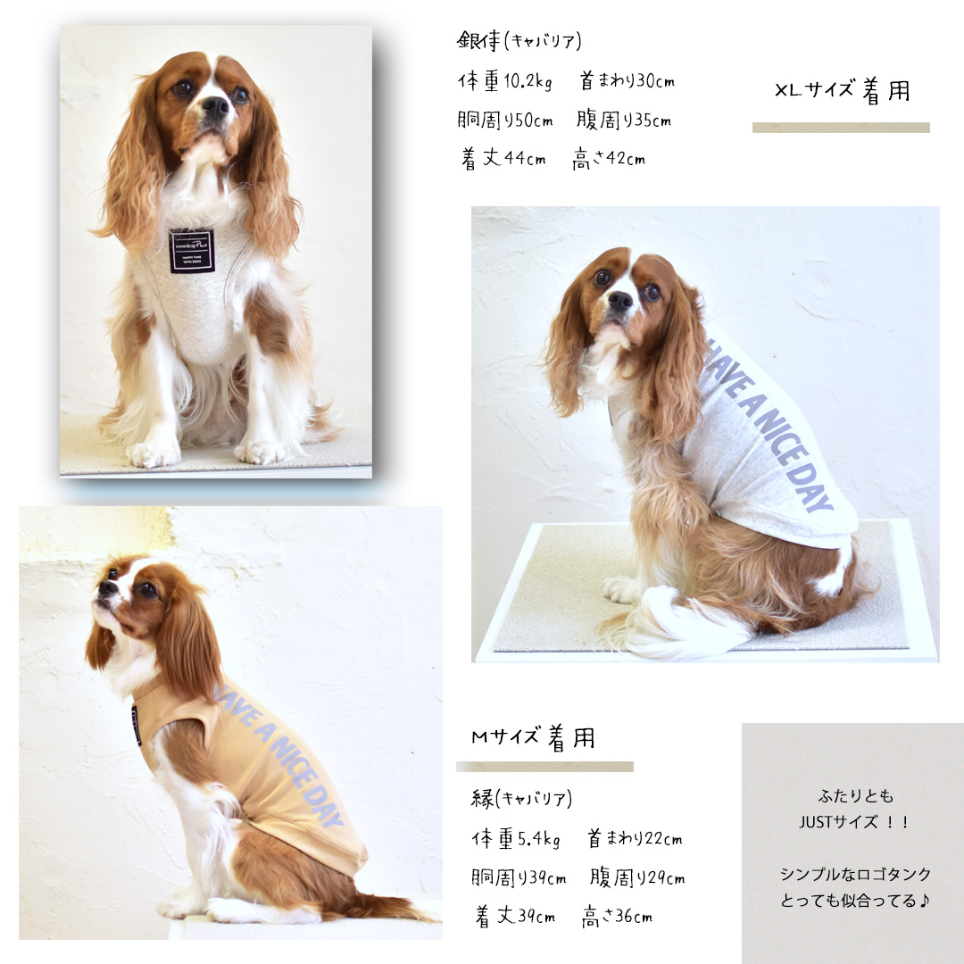 (在庫処分SALEの為返品交換不可)縦ロゴ HAVE A NICE タンクトップ 犬 服 ペット ロゴタンクトップ ストレッチ ノースリーブ 袖なし ゆうパケット対応 | ブランド登録なし | 07