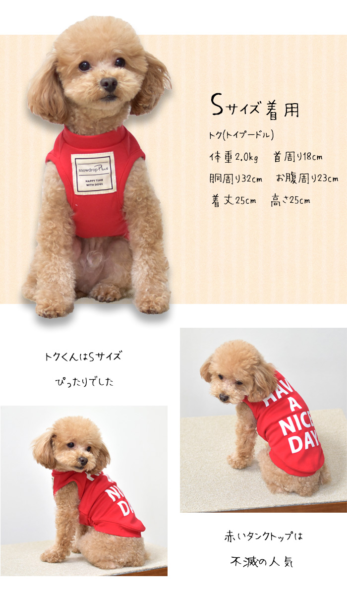 (在庫処分セールの為返品交換不可)横ロゴ HAVE A NICE タンクトップ 犬 服 ペット ロゴタンクトップ ストレッチ ノースリーブ 袖なし ゆうパケット対応 | ブランド登録なし | 03