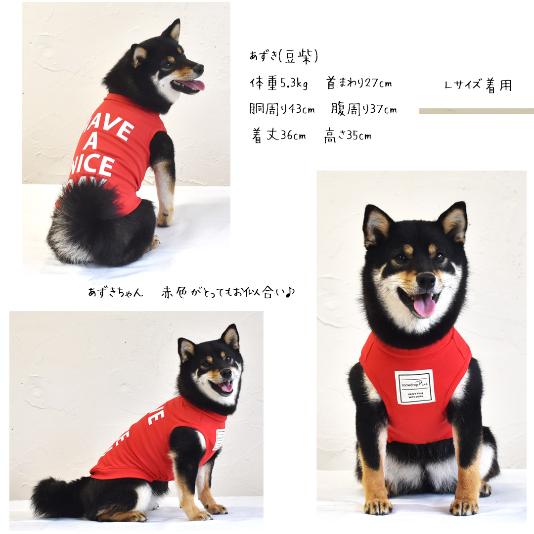 (在庫処分セールの為返品交換不可)横ロゴ HAVE A NICE タンクトップ 犬 服 ペット ロゴタンクトップ ストレッチ ノースリーブ 袖なし ゆうパケット対応 | ブランド登録なし | 04