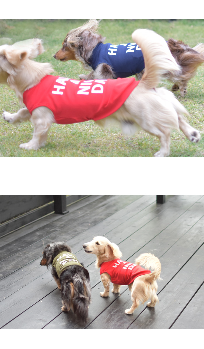 横ロゴ ダックスサイズ HAVE A NICE タンクトップ 犬 服 ペット ロゴタンクトップ ストレッチ ノースリーブ 袖なし ゆうパケット対応