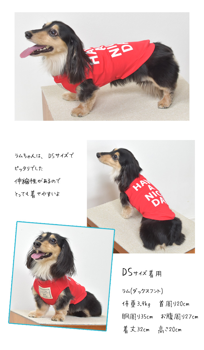 横ロゴ ダックスサイズ HAVE A NICE タンクトップ 犬 服 ペット ロゴタンクトップ ストレッチ ノースリーブ 袖なし ゆうパケット対応