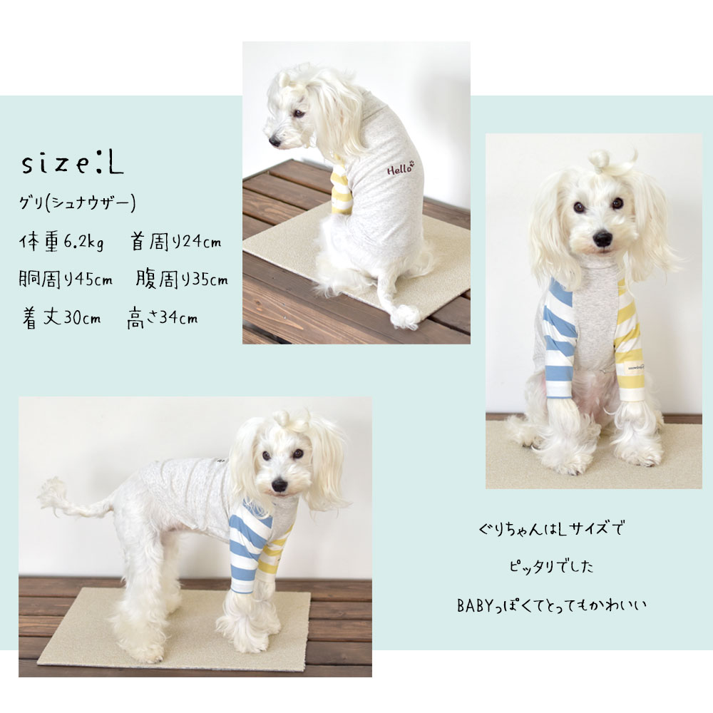 (在庫処分SALEの為返品交換不可)ダブル袖ボーダーTシャツ 犬服 snowdrop ドッグウェア 着せやすい 伸縮 DOG dog ゆうパケット対応 | ブランド登録なし | 03