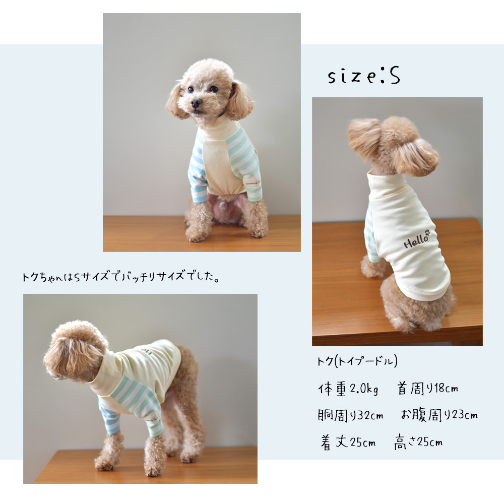 在庫処分SALEの為返品交換不可)ダブル袖ボーダーTシャツ 犬服 snowdrop