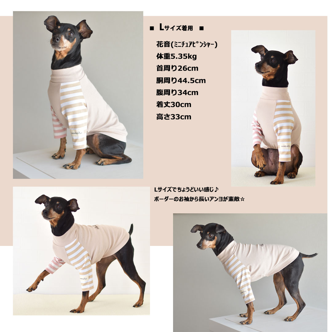 (在庫処分SALEの為返品交換不可)ダブル袖ボーダーTシャツ 犬服 snowdrop ドッグウェア 着せやすい 伸縮 DOG dog ゆうパケット対応 | ブランド登録なし | 06