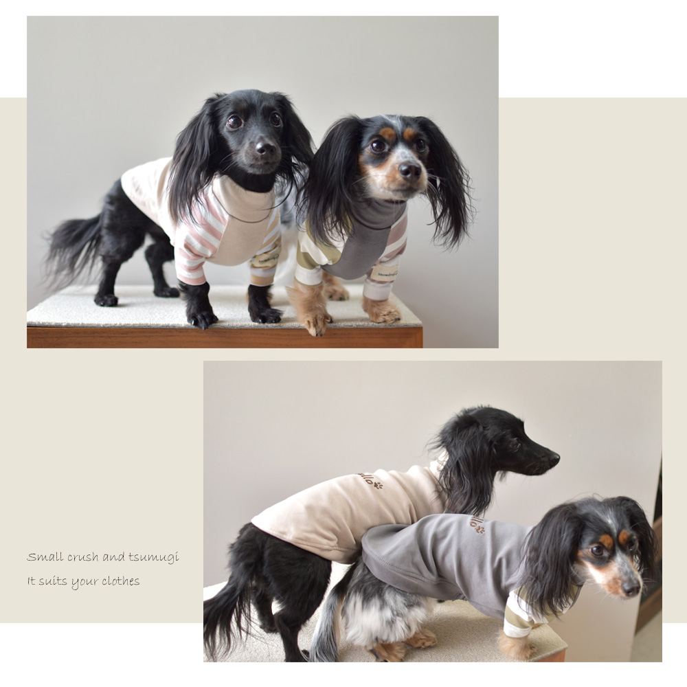 ダブル袖ボーダーTシャツ 犬服 snowdrop ドッグウェア 着せやすい 伸縮 ストレッチ のびのび おしゃれ Tシャツ ボーダー ペット かわいい dog ゆうパケット対応