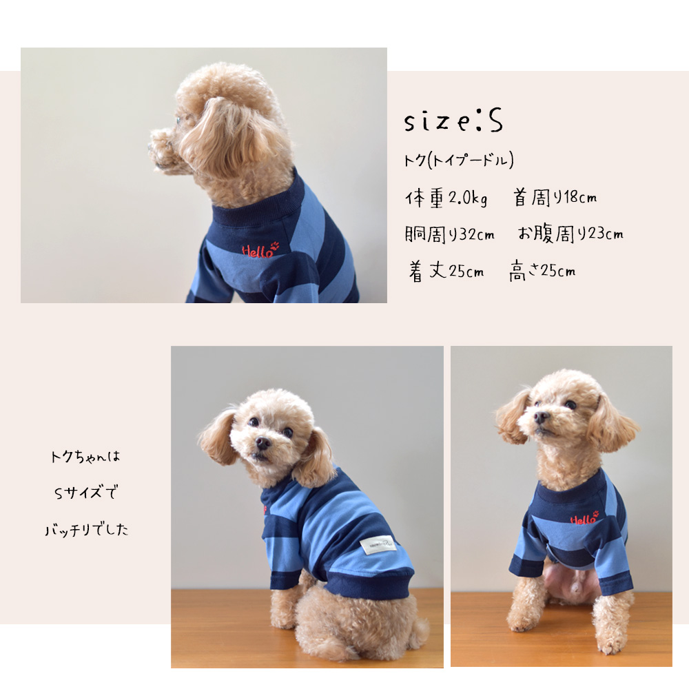 (在庫処分SALEの為返品交換不可)ワイドボーダーTシャツ 犬 名入れ 刺繍 snowdrop ドッグウェア 伸縮 ストレッチ Tシャツ ボーダー ペット DOG ゆうパケット対応 | ブランド登録なし | 05