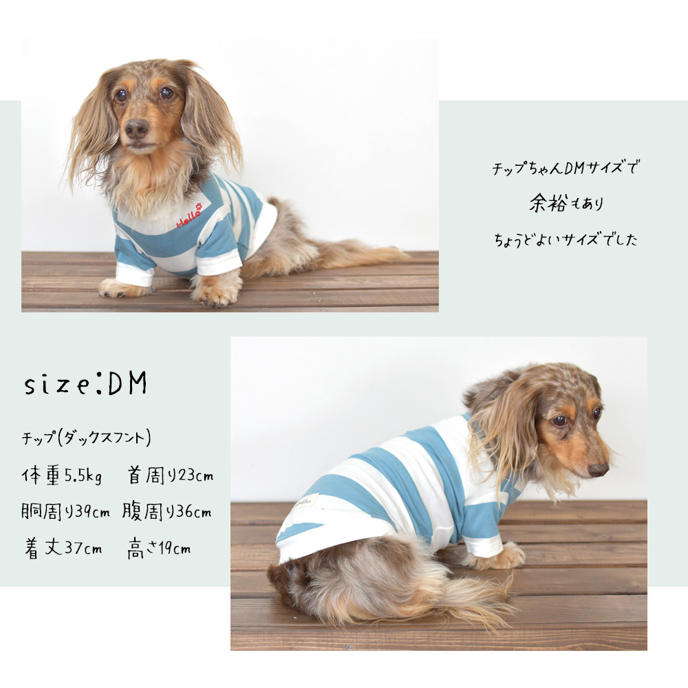 ワイドボーダーTシャツ 犬服 名入れ 刺繍 snowdrop ドッグウェア ダックス Tシャツ ボーダー ストレッチ dog ゆうパケット対応｜snowdrop｜07