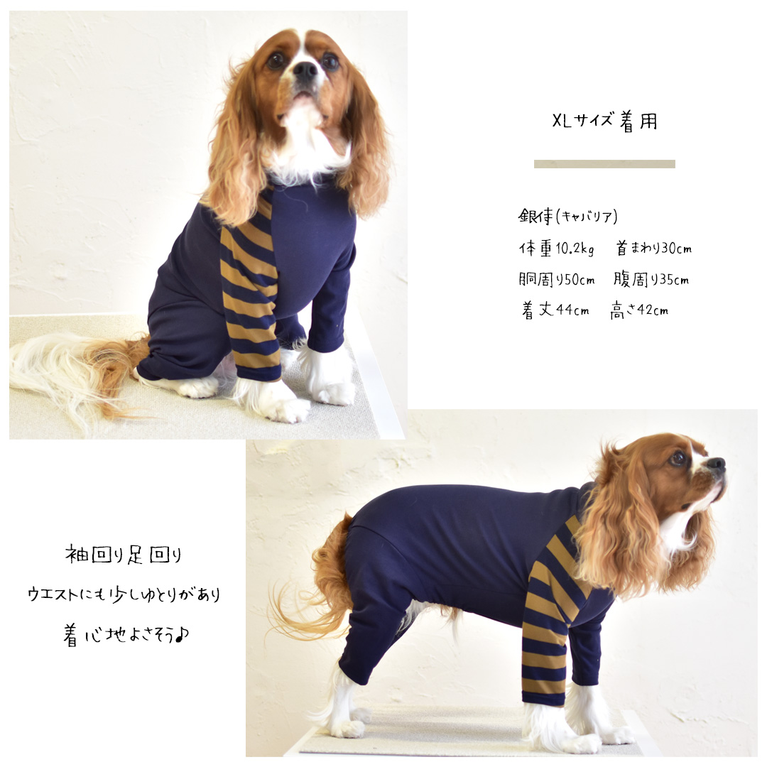 犬 オールインワン コレクション