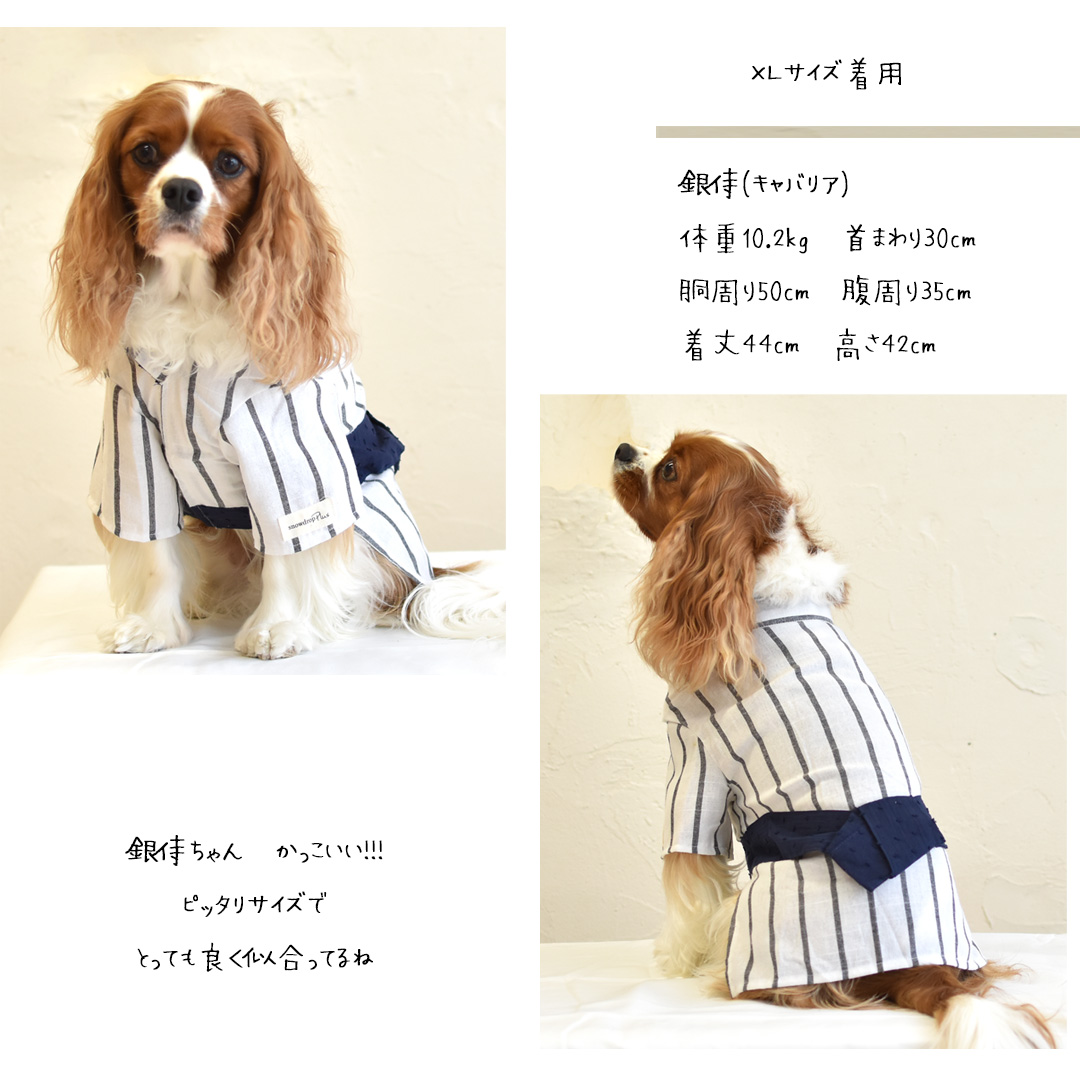 在庫処分セールの為返品交換不可】浴衣 ペット 犬 猫 浴衣 服 犬服 ゆかた 春夏 夏服 おしゃれ かわいい 和服 和風 着物 お散歩  ゆうパケット対応 : sd261 : snowdrop - 通販 - Yahoo!ショッピング