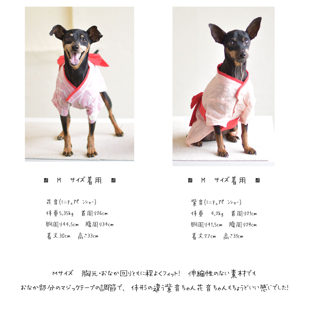 在庫処分セールの為返品交換不可】浴衣 ペット 犬 猫 浴衣 服 犬服