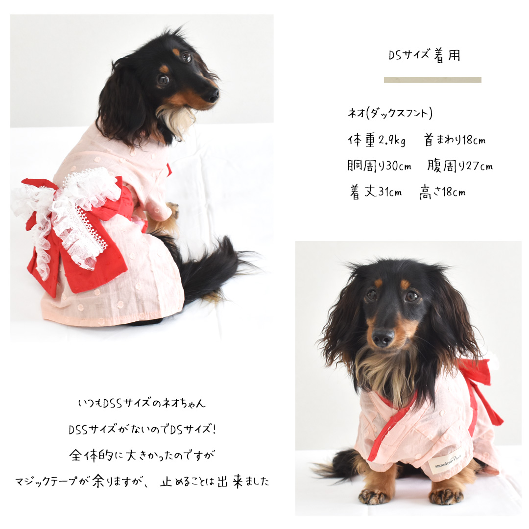 ネオポップ 犬 オファー 服