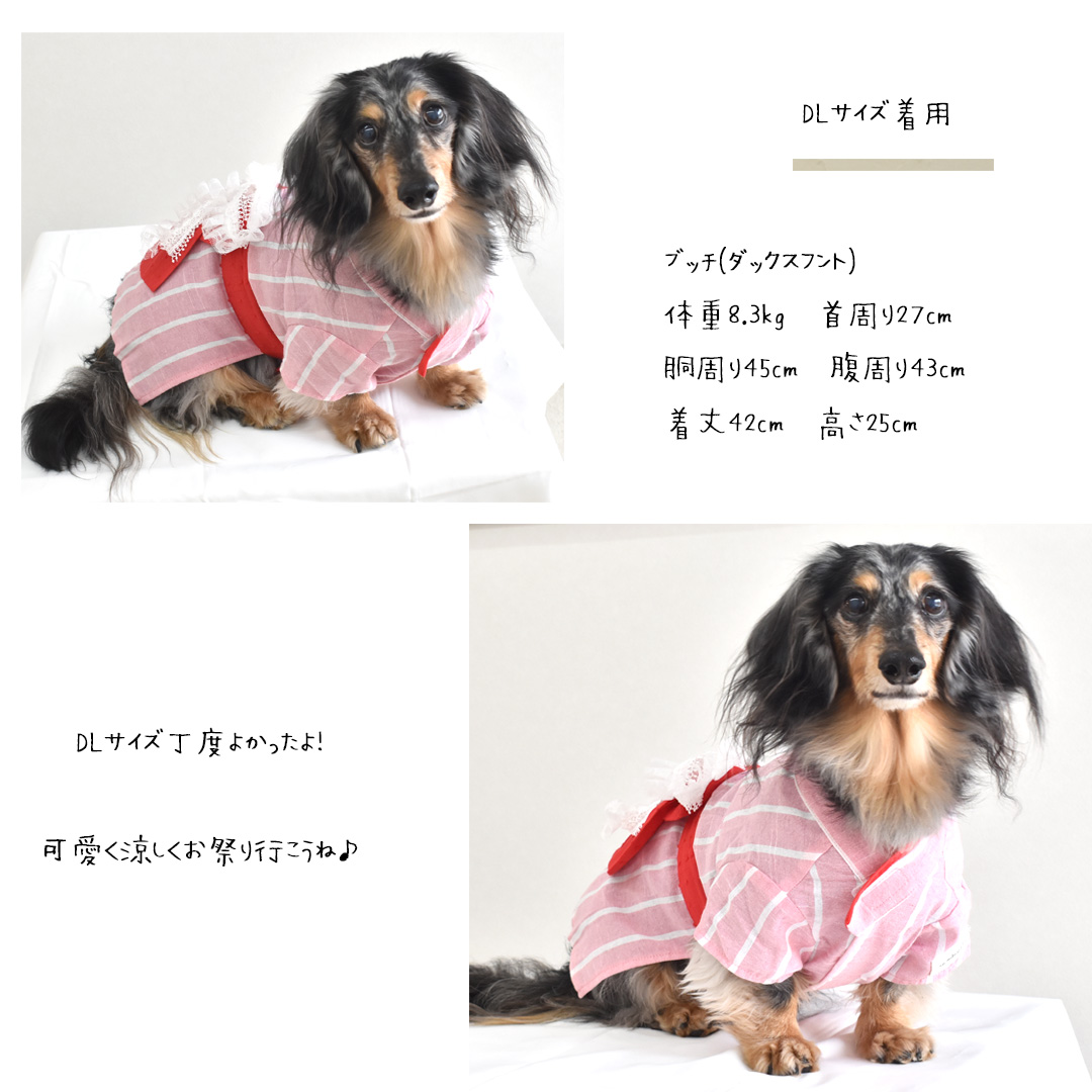 【在庫処分セールの為返品交換不可】レースリボン付き　浴衣　ダックスサイズペット 犬 猫 浴衣 服 犬服 ゆかた 春夏 夏服　ゆうパケット対応 | ブランド登録なし | 02