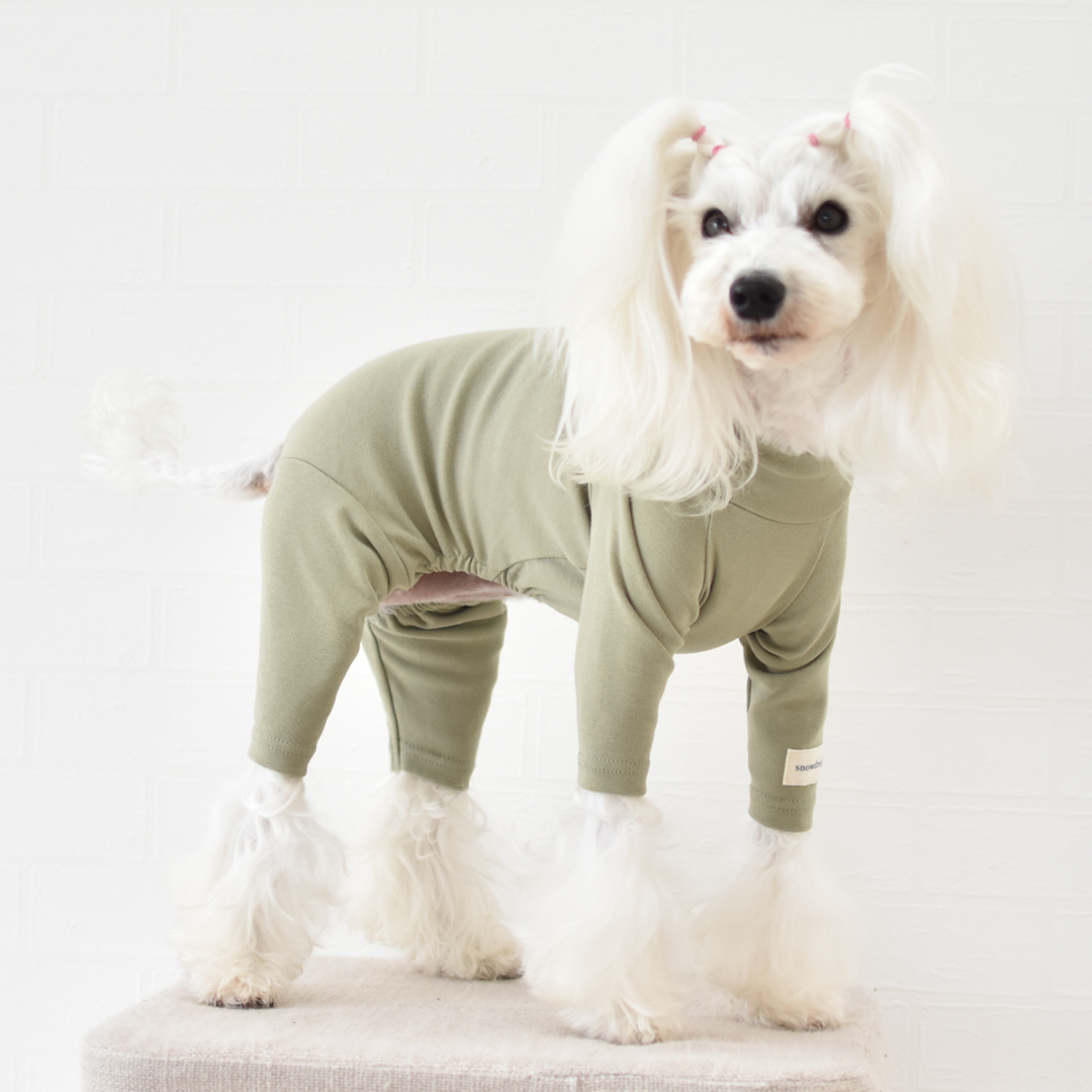 カバーオール 犬 犬服 プリント 名入れ  ペット snowdrop ロンパース オールインワン つなぎ 部屋着 インナー  伸縮性 ゆうパケット対応 | ブランド登録なし | 02