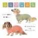 カバーオール ダックス プリント 名入れ 犬 犬服 ペット snowdropオールインワン 伸縮性 ゆうパケット対応 関連画像2