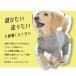 カバーオール ダックス プリント 名入れ 犬 犬服 ペット snowdropオールインワン 伸縮性 ゆうパケット対応 関連画像3