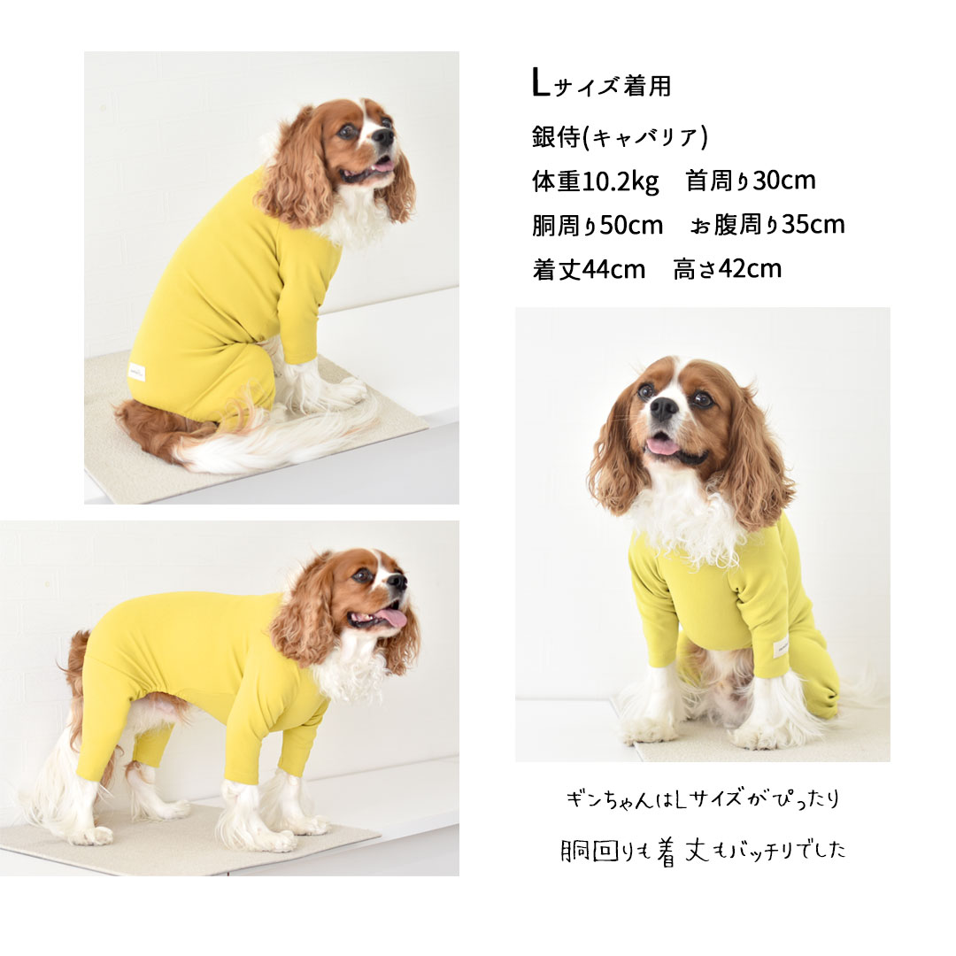 カバーオール 犬 犬服 ペット snowdrop ロンパース オールインワン つなぎ 部屋着 インナー  伸縮性 ゆうパケット対応 | ブランド登録なし | 05